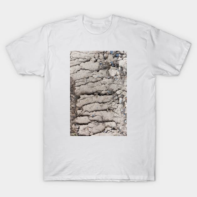 Arid mud flats cut T-Shirt by textural